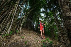 BIB: 
                            <button type="button" onclick="openModal(19395798)" class="btn btn-primary btn-sm float-right btn-popup" data-toggle="modal" data-target=".modal-high-quality">
                        <i class="fas fa-shopping-cart"></i> Add to Cart
                    </button>
                                            <button type="button" onclick="isThisMe(19395798, true)" class="btn btn-success btn-sm float-right btn-popup btn-isme hidden" data-toggle="tooltip" data-placement="bottom" title="นี่คือรูปของคุณใช่ไหม คลิกที่นี่เพื่อเอาเข้าอัลบั้ม">
                        <i class="fas fa-plus"></i> Add to album
                    </button>
                    <button type="button" onclick="isThisMe(19395798, false)" class="btn btn-warning btn-sm float-right btn-popup btn-isnotme hidden">
                        <i class="fas fa-ban"></i> Remove from album
                    </button>